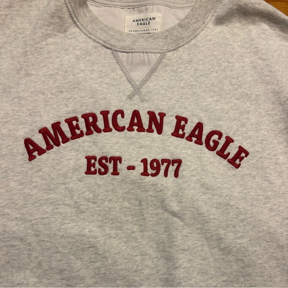 American Eagle Light Gray Hoodie - Picture 4 of 9